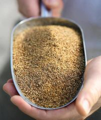 Rapeseed Meal and Canola Meal - Image 5