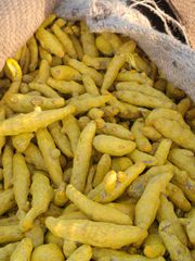 Turmeric Finger – product photo 5, product detail gallery