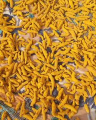 Premium Quality Turmeric Spice Designed For Cooking Food Production And Seasoning With Rich Color And Pleasant Natural - Image 3