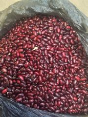 Red Kidney Beans – product photo 1, product detail gallery