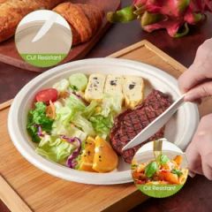 Hot Sale Biodegradable Sugarcane Bagasse Plates Paper Cup Cutlery Compostable Disposable Tableware Suit - Image 3