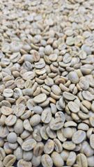 Arabica Coffee Beans Bulk Supplier Export Quality | Grade AA & AB Top Quality Green Coffee Bean - Image 5