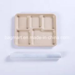 Eco-Friendly Biodegradable Disposable Compostable Tableware Origin China Certification FDA Model NO. YTBM-208 Customized Customized - Image 6