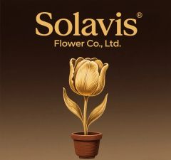 Changsha Solavis Flower Co., Ltd.
