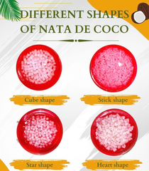 Nata de Coco Jelly Cubes, 5% Sugar, Vietnam Origin - Image 5