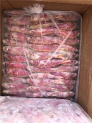 Red mullet Color Red Form Frozen for sale - Image 3