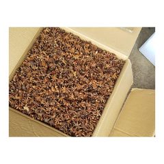 Premium quality star anise bulk supply natural spice export grade wholesale - Image 4