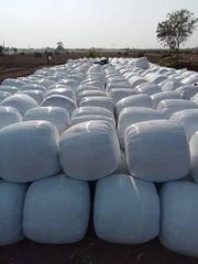 Corn Silage – product photo 6, product detail gallery