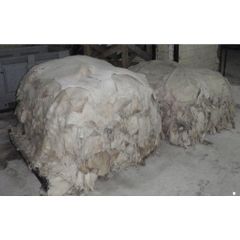Wet Salted Donkey Hide Premium Raw Hide Material for Professional Tanneries. - Image 5