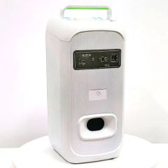 High Quality Double 8 Inch Party Box Speakers with Wireless Microphone - Image 4