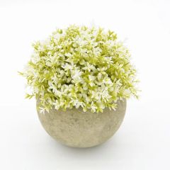 Fast Delivery Simple Plastic Artificial Plants Potted - Image 2