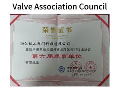 Valve Association Council certificate from Zhejiang Chenggong Valve Technology Co., Ltd.