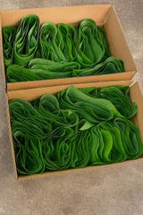 Fresh Banana leaves – product photo 1, product detail gallery