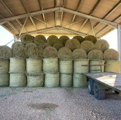 Top Quality Alfalfa Hay for Animal Feeding Stuff Alfalfa / Alfalfa Hay for Sale at Wholesale Price – product photo 3, product detail gallery