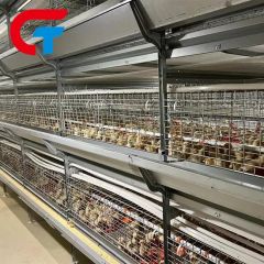 H Frame Automatic Feeding System Farming Poultry Equipment Battery Cage - Image 6