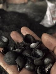 MACADAMIA SHELL CHARCOAL - Image 2
