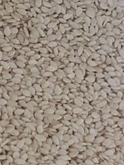 Best Quality 100% Organic White Sesame Seed For more details, whatsap +255787979235 – product photo 3, product detail gallery