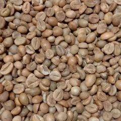 Authentic Toraja Robusta Green Coffee Beans – product photo 1, product detail gallery