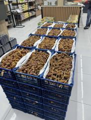 Premium Libyan Degla Dates – Export Quality - Image 4