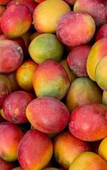 Premium Mangoes - Image 1