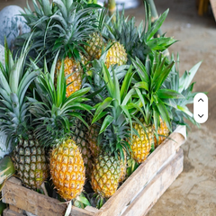 Wholesale Bulk Queen Pineapple Fresh Fruits Consistent Size Professional Packaging Global Supply Chain Partner OEM - Image 2