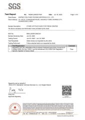Pouch bag food grade certificate from KAIPING FEILIYANG PACKING MATERIALS CO., LTD.