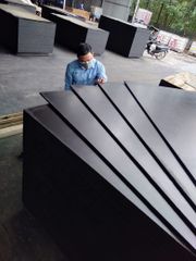 Single Form Film Faced Plywood to Malaysia - Image 5
