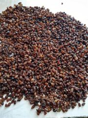 Sultana Raisins Quality AAA Packaging 12.5 kg - Image 2