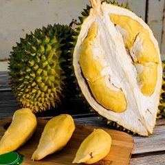 Monthong Durian Made In Vietnam So Fresh Premium Quality Fresh Whole Piece /Frozen Pulp Durian Fruit Monthong – product photo 6, product detail gallery