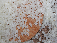 Hot Japonica Rice from Vietnam __________ Quality round Short Rice __% Broken Rate for Sushi Packing 25 Kg/50 Kg PP PE Bag – product photo 4, product detail gallery