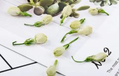 Jasmine Flower Herbal Tea Dried Leaves natpurecha LBJF1032 Bags 15D - Image 2