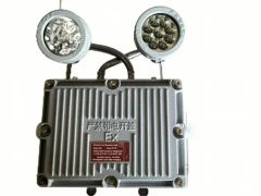 Customized Emergency Exit Sign Light Explosion Proof Emergency Light - Image 3