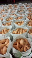 Orange sweet potato - Image 3