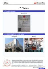 SGS Audit 3 certificate from Taizhou Xiongshi Plastic Mould Co., Ltd.