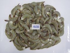 Company – thumbnail 11 of 30, supplier detail gallery