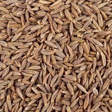Premium Cumin Seeds (Jeera) – Export Quality by Anant Sarthi Pvt Ltd - Image 2