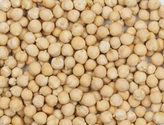 Chickpeas Purity ≥ 98% Moisture ≤ 12% Foreign Matter ≤ 1% Broken Damaged Grains ≤ 2% Product Location South Africa Shelf Life 12 Months Under Cool, Dry - Image 1