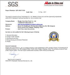 SGS Audit supplier report certificate from Ningbo Govi Auto Parts Co., Ltd.