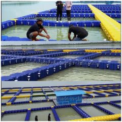Plastic Pontoon Fish Farming Cage Color Gray Weight 7kgs Trademark No Material HDPE Certificate Ce Origin Zhejiang Certification ISO - Image 2