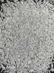 ST25 Rice - Image 1