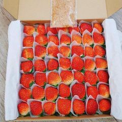 New Crop Premium grade Strawberry - Wholesale Natural Sweet Delicious Red Fresh Strawberry Vietnam Origin at Best Market Price – product photo 5, product detail gallery