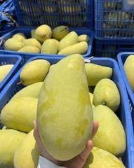 Fresh Mango - Image 3