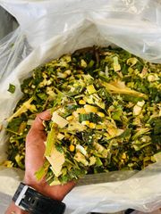 Fresh Fermented Maize / Corn Silage from Pakistan – Bulk Animal Feed Supply - Image 2
