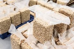 Good Quality Cashew Nut Raw Bulk Cashews W320 Raw Cashew Nuts Prices Offered Dried Fruits Nuts - Image 5