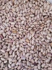 Wholesale Red Kidney Beans For Sale – product photo 2, product detail gallery