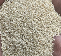 Poppy Seeds - Image 5