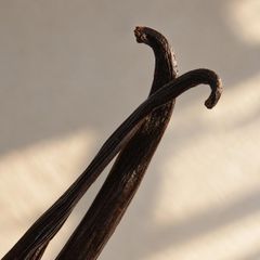 Vanilla Beans Tahitian Grade A - Image 6