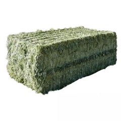 Premium alfalfa hay supplied in large bales for wholesale buyers at factory price - Image 3