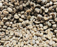 Coffee Bean – product photo 2, product detail gallery