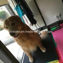300kg Pet Scale / Veterinary Scale Trademark LC Origin China Shape Square Display Type LCD HS Code 84238110 Weighing - Image 5